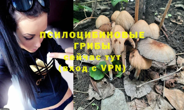 не бодяженный Баксан