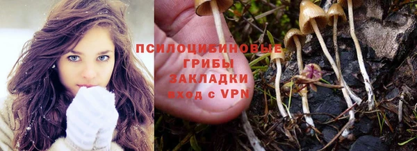 ешки Армянск