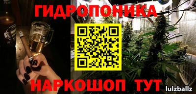 стаф Лесосибирск