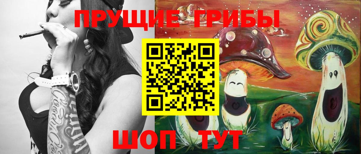 Псилоцибиновые грибы Psilocybine cubensis  Вход с VPN  Нарткала 
